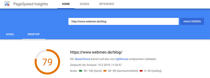 Screenshot PageSpeed WebMen